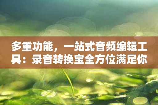 多重功能，一站式音频编辑工具：录音转换宝全方位满足你的需求！