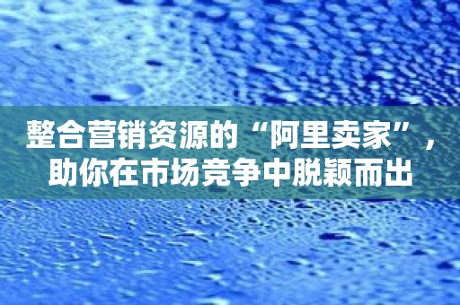 整合营销资源的“阿里卖家”，助你在市场竞争中脱颖而出