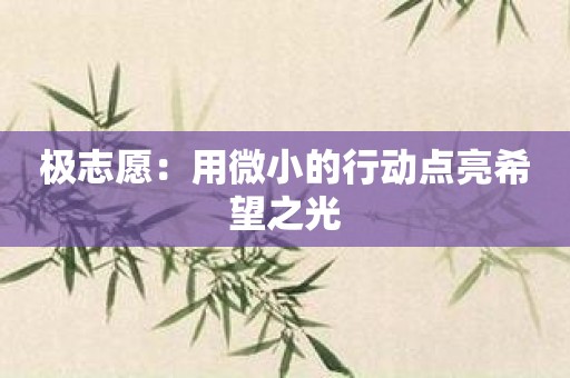 极志愿：用微小的行动点亮希望之光