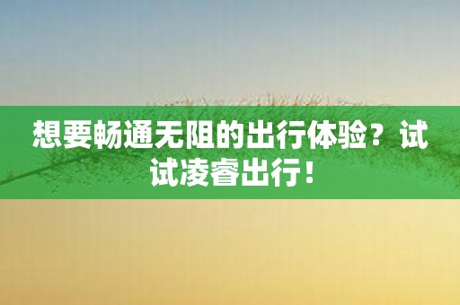 想要畅通无阻的出行体验？试试凌睿出行！