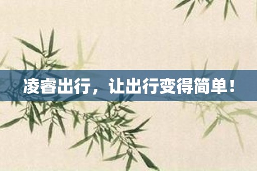 凌睿出行，让出行变得简单！