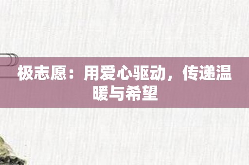极志愿：用爱心驱动，传递温暖与希望