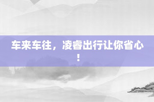车来车往，凌睿出行让你省心！
