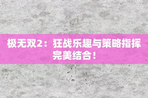 极无双2：狂战乐趣与策略指挥完美结合！