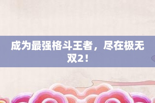 成为最强格斗王者，尽在极无双2！