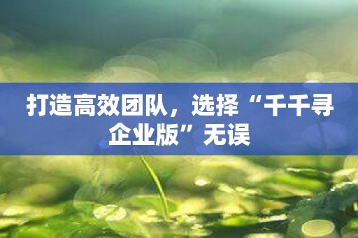 打造高效团队，选择“千千寻企业版”无误