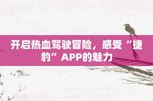 开启热血驾驶冒险，感受“捷豹”APP的魅力
