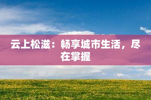 云上松滋：畅享城市生活，尽在掌握