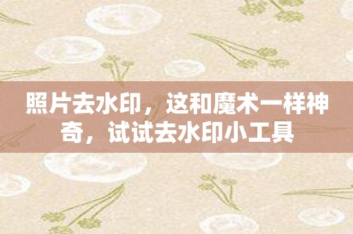 照片去水印，这和魔术一样神奇，试试去水印小工具