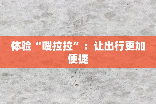 体验“嗖拉拉”：让出行更加便捷
