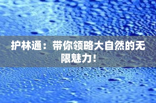 护林通：带你领略大自然的无限魅力！