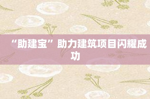 “助建宝”助力建筑项目闪耀成功