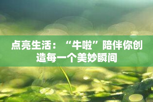 点亮生活：“牛啦”陪伴你创造每一个美妙瞬间
