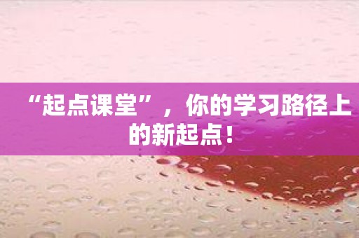 “起点课堂”，你的学习路径上的新起点！