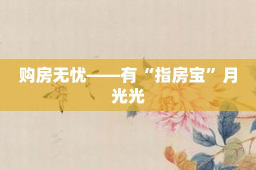 购房无忧——有“指房宝”月光光