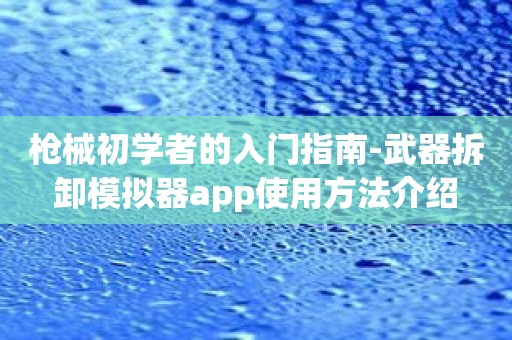 枪械初学者的入门指南-武器拆卸模拟器app使用方法介绍