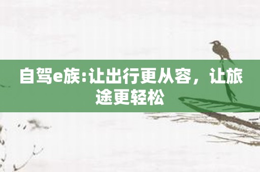 自驾e族:让出行更从容，让旅途更轻松