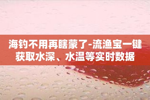 海钓不用再瞎蒙了-流渔宝一键获取水深、水温等实时数据