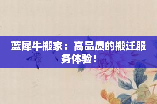 蓝犀牛搬家：高品质的搬迁服务体验！