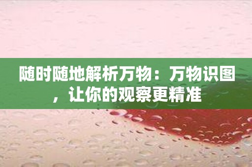 随时随地解析万物：万物识图，让你的观察更精准