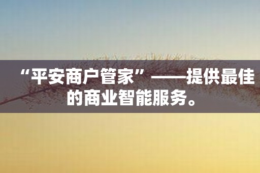 “平安商户管家”——提供最佳的商业智能服务。