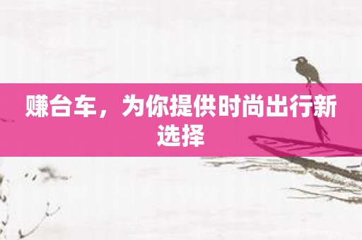 赚台车，为你提供时尚出行新选择