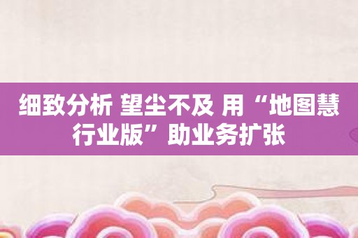 细致分析 望尘不及 用“地图慧行业版”助业务扩张