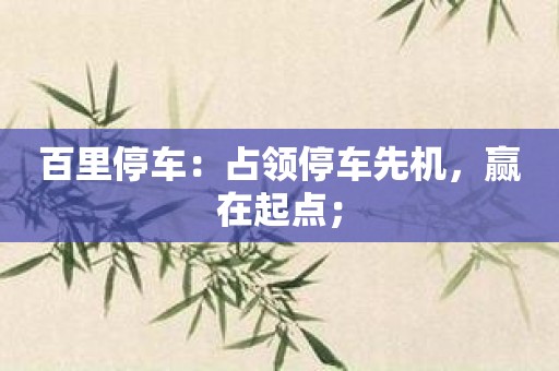 百里停车：占领停车先机，赢在起点；