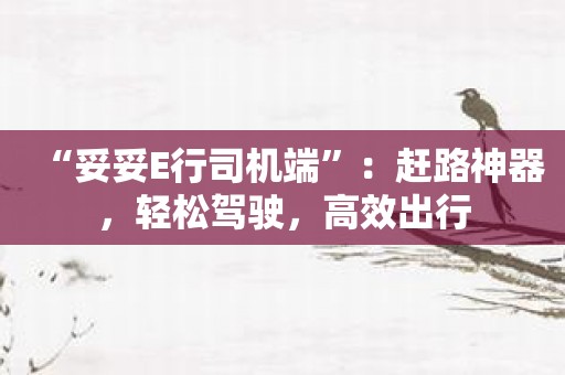 “妥妥E行司机端”：赶路神器，轻松驾驶，高效出行
