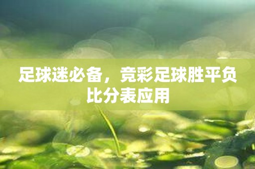 足球迷必备，竞彩足球胜平负比分表应用