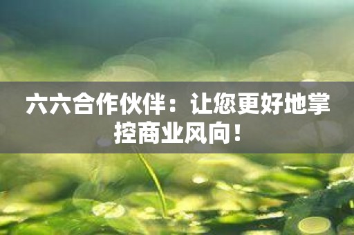 六六合作伙伴：让您更好地掌控商业风向！