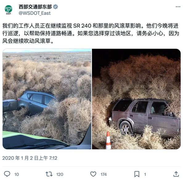 民众噩梦、让美国进入紧急状态的风滚草：被我们当成了美食？