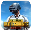 PUBG官方下载入口