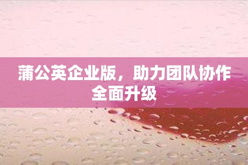 蒲公英企业版，助力团队协作全面升级