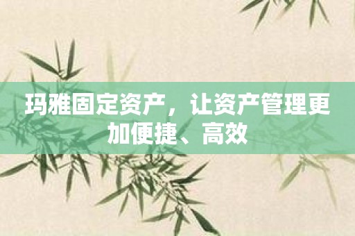 玛雅固定资产，让资产管理更加便捷、高效