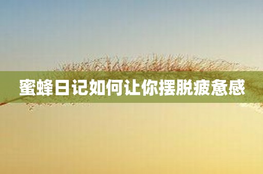 蜜蜂日记如何让你摆脱疲惫感