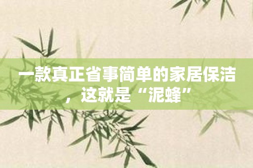 一款真正省事简单的家居保洁，这就是“泥蜂”