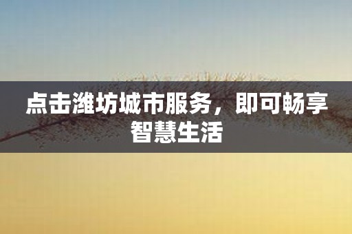 点击潍坊城市服务，即可畅享智慧生活