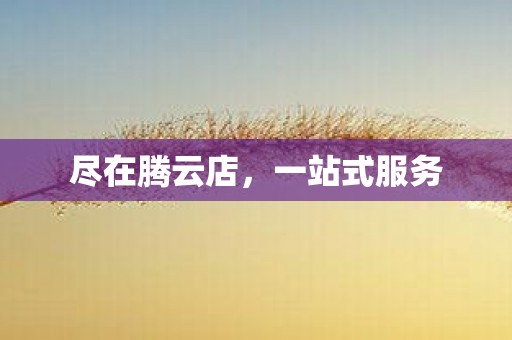 尽在腾云店，一站式服务