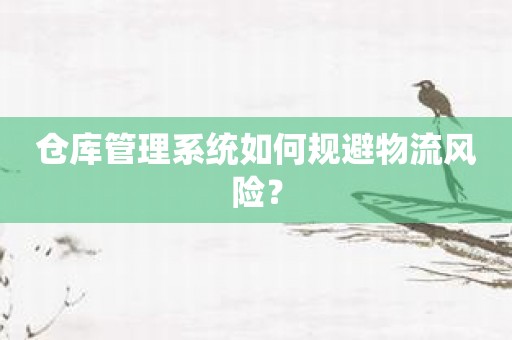 仓库管理系统如何规避物流风险？