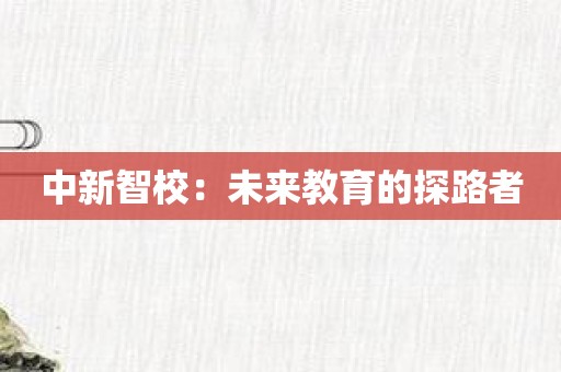 中新智校：未来教育的探路者