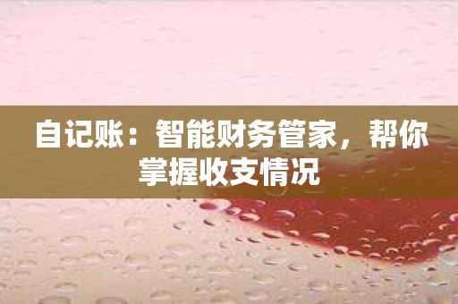 自记账：智能财务管家，帮你掌握收支情况