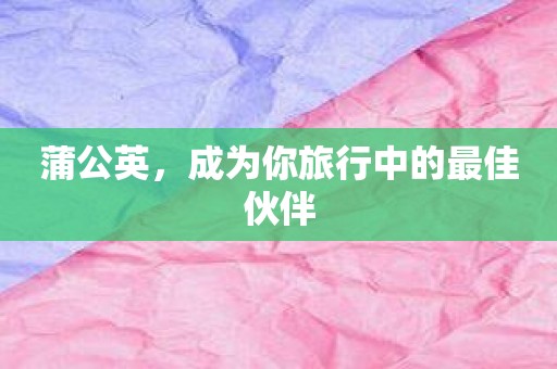 蒲公英，成为你旅行中的最佳伙伴
