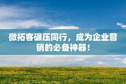 微拓客碾压同行，成为企业营销的必备神器！