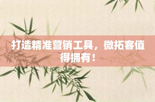 打造精准营销工具，微拓客值得拥有！