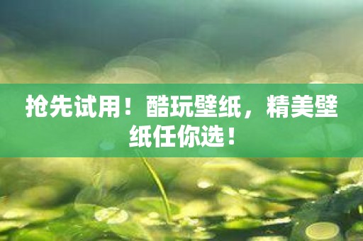 抢先试用！酷玩壁纸，精美壁纸任你选！