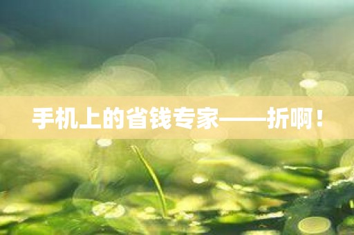手机上的省钱专家——折啊！
