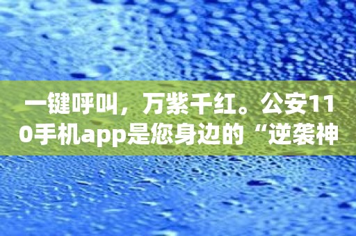 一键呼叫，万紫千红。公安110手机app是您身边的“逆袭神器”