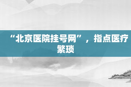 “北京医院挂号网”，指点医疗繁琐