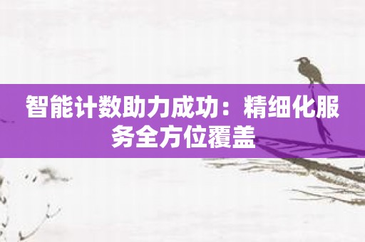 智能计数助力成功：精细化服务全方位覆盖